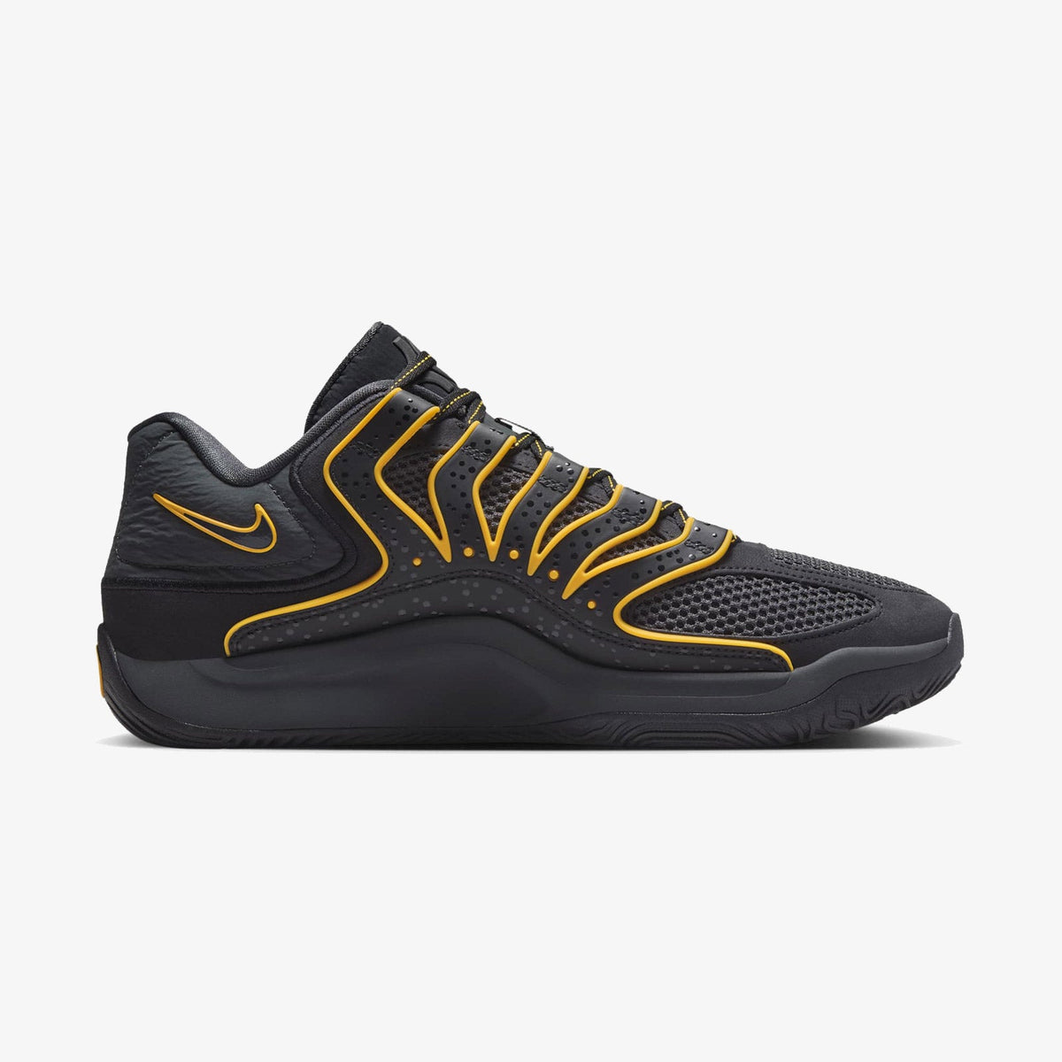 KD 18 "Rain City"