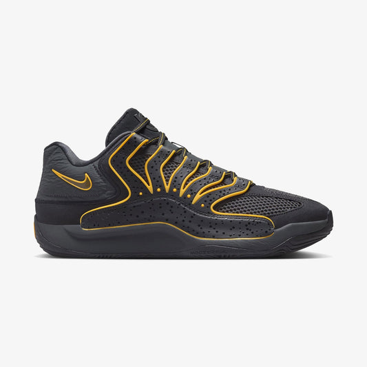 KD 18 "Rain City"