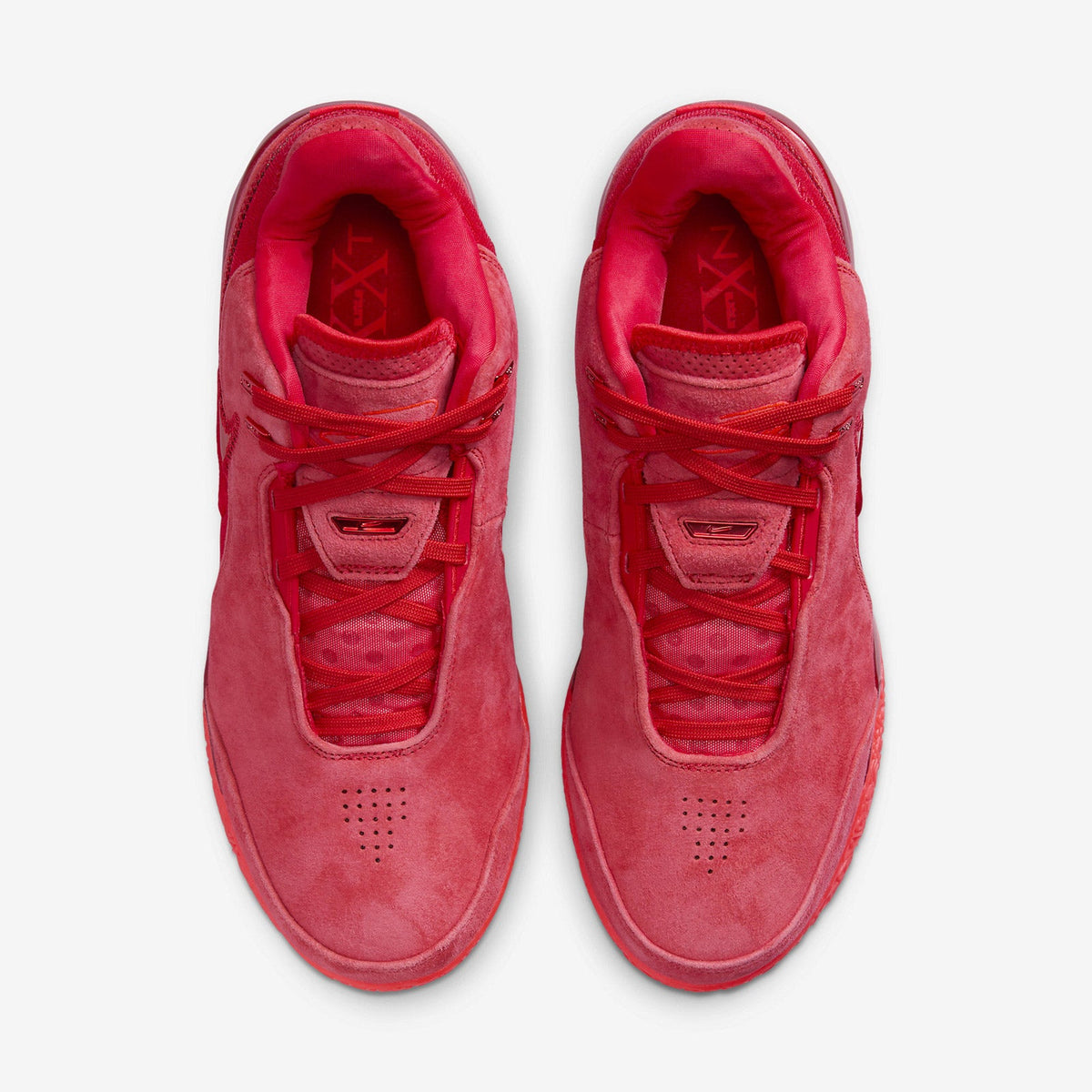 LeBron NXXT Gen AMPD "James Gang"