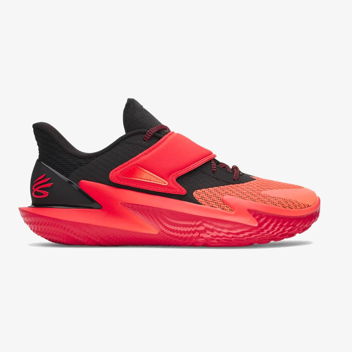 Curry Fox 2 "The Buzzer"