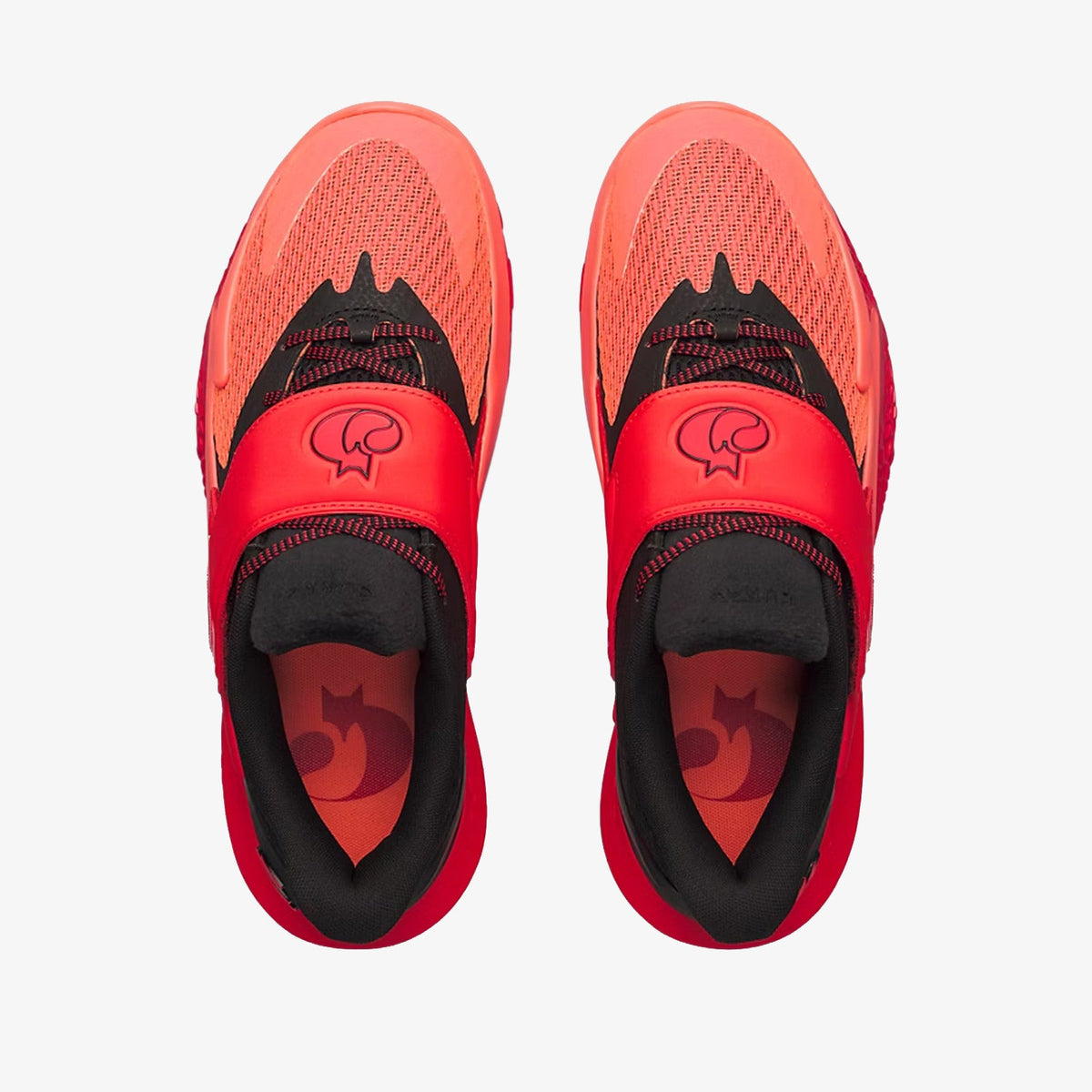 Curry Fox 2 "The Buzzer"